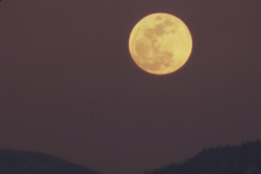 mond1.JPG (14039 bytes)